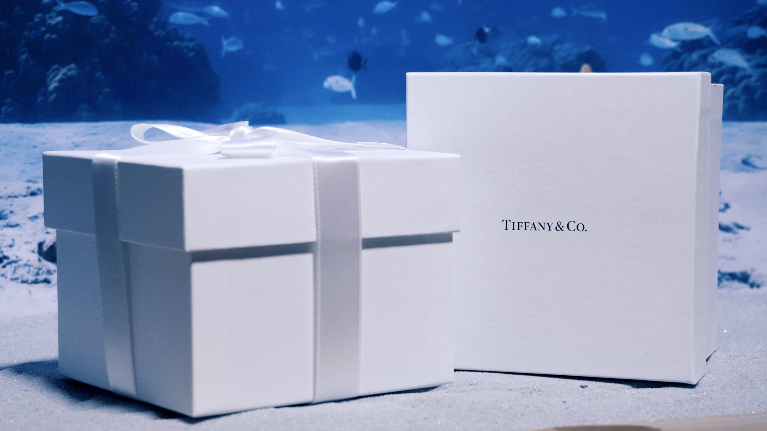 Tiffany 7
